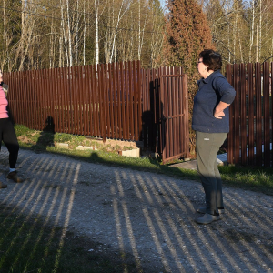 Почему в Германии на самом деле не ставят заборы: дело не в налогах